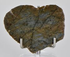 5.13g Lunar Basalt Very Rare Lunar Meteorite Type - TOP METEORITE picture