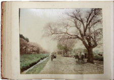 Kusakabe Kimbei Meiji Hand-Colored Photo Album w/Ivory Inlay, 47 Photos Japan picture