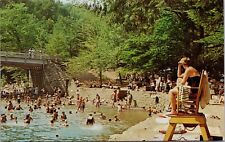 VTG Postcard ~ Fun Day Swimming At World's End State Park In Pennsylvania picture