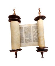 Torah Scroll Worthy of Repair Rare and Beautiful 42 cm Klaff By Tifara Judaica picture