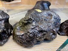 METEORITE CAMPO DEL CIELO WALL DISPLAY DECOR  PIRATE GOLD COINS METEOR SPACE picture