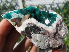 Green Dioptase With Wulfenite Namibia picture