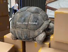 Animal Planet's Heart Wide And Body Fat Shanghai Turtle Geochelone Gigantea picture