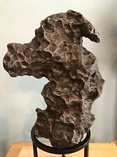 Campo del Cielo Iron Meteorite 70 Lbs. Museum Quality picture
