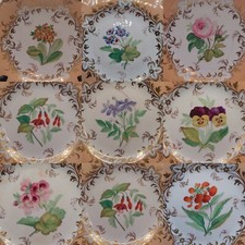 A wonderful Georgian BOTANICAL DESSERT SERVICE by COALPORT. 21 Pieces. C.1820 picture
