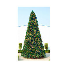 24' Giant Pre-Lit Everest Fir Commercial Christmas Tower Tree - Warm White C7 picture