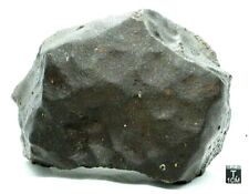 NWA 13309 LL3.15 Primitive Chondrite Meteorite Rare, Type 3 Meteorite 1928 Gram  picture