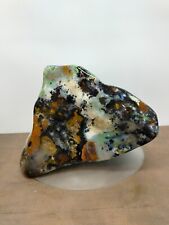 Very rare museum quality of mix color opalized petrified wood 5140gr 16x17x13cm picture