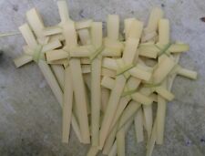 Pk.500- small FRESH Palm Bud Crosses for PALM SUNDAY MADE IN FLORIDA  3day ship picture