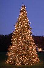 24' Giant Pre-Lit Olympia Pine Commercial  Artificial Tower Christmas Tree - picture