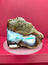 Rare special color petrified wood with picture polished 1494gr (15x12x7cm) picture