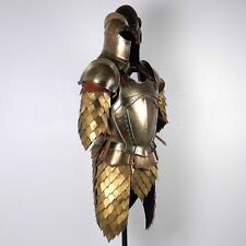 Halloween Kingsguard Armor - Game of Thrones - Baratheon Styled Armor - Costume picture