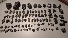 Gibeon Meteorite Lot — 11 kg | Iron IVA | Namibia | Multiple pieces picture