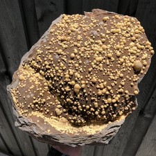 28.8cm Huge Museum Botryoidal Calcite on Basalt from Campomorto Quarry, Italy picture