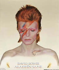 David Bowie - Aladdin Sane Original Vintage Poster picture