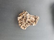 Meteorite Ultra Rare specimen. Estimated 2 million years old. One of a kind.  picture
