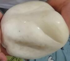 Natural Giant Fossil Tridacna Gigas Clam Pearl 6 Kilograms Gemologist Certified picture