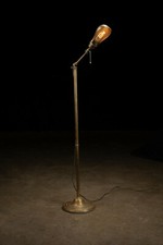 Antique Articulating Faries Floor Lamp picture