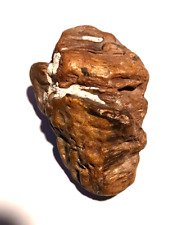 Native American Indian Face Effigy Rock Shaman Stone Arrowhead Artifact Fossil picture