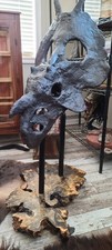 Einiosaurus procurvicornis DINOSAUR FOSSIL Skull 95% Genuine Beyond Rare picture