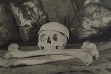 Jewish Macabre Phi Delta Epsilon Skull and Bones University of Maryland photo picture