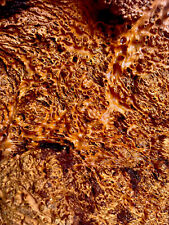 Ausie Red Mallee Burl Cookies  (45”X 16” X 4 1/2”) 53 Pounds.Exotic DIY projects picture