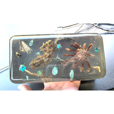 RARE Vintage Massive Lucite Tarantula Turquoise Insect Paperweight Taxidermy  picture