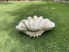 giant clam shell tridacna gigas natural picture