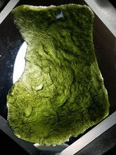 Museum Quality Large Curved Moldavite Showpiece Weighing 43.8 grams With Cert picture