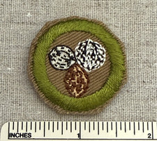 Vintage 1930s-40s? NUT CULTURE Boy Scout Merit Badge PATCH BSA Scouting Award picture