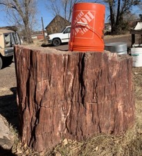 ☘️RR⚒: GIANT Petrified Wood Stump, Tons Of Character, NE AZ. 38”x 33” X 27” picture