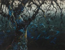 🔥 Important RARE Vintage Eyvind Earle DISNEY Signed Serigraph, Jewel Tree 1975 picture