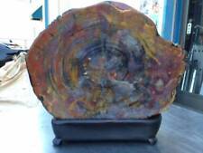 Arizona   Finest 16.5kg Super Giant Petrified Wood Rare Appreciation Stone picture