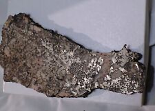 SILVER Plate Slab Fine Mineral Specimen Crystal Cobalt, Ontario, Canada picture