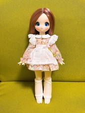 Guard Love BJD Doll Hana 1/6 Scale #faa985 picture