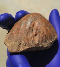 The Golden Dome 250g World-Class Oriented NWA Meteorite Morocco picture