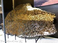METEORITE PALLASITE WALL DISPLAY DECOR  PIRATE GOLD COINS METEOR SPACE picture