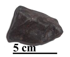 NEW Aguas Zarcas meteorite CM2, recent fall, Costa Rica, individual, 64.1 grams picture