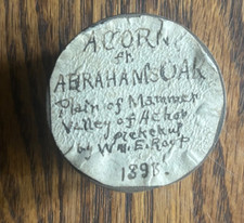 1895 Holy Land Souvenir Acorn Abraham’s Oak Mamre Hebron w/ Case picture