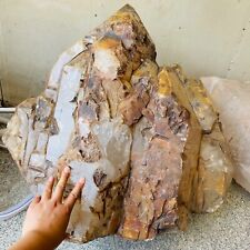 485lb Huge Rare Smoky Crocodile Bones Quartz Crystal Rough Specimen Reiki picture