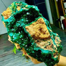 11.44LB Natural green dioptase emerandine gemstone cluster mineral specimen picture