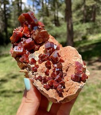 Vanadinite Large Bright Red Crystals On Matrix From Morocco 11.5 Cms picture