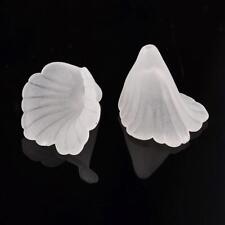 20pcs Jewelry Frosted Transparent Acrylic Flower Beads White Mixed Color 20x20mm picture