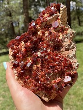 Vanadinite Large Bright Red Crystals On Matrix From Morocco 15.0 Cms picture
