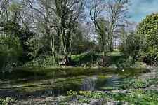 Photo 12x8 Shelton Green: Duck pond created from a drainage ditch  c2020 picture