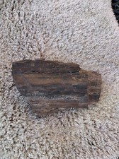 Petrified wood half log that's crystallize it's a beautiful piece picture