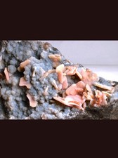 Beautiful Large Pink Orange Wulfenite On Blue Hemimorphite Rock & Mineral... picture