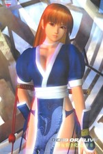 Dead Or Alive Ultimate Kasumi B2 Poster 20x28in Preorder Bonus picture