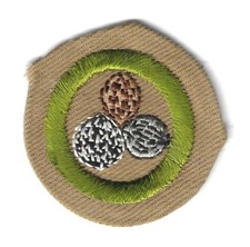 BSA NUT CULTURE MERIT BADGE RARE 1934-35 TYPE B TAN WIDE CRIMP MINT picture