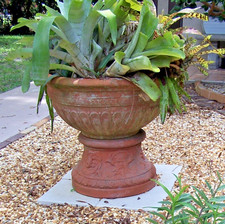 Antique Estate Neoclassical Italian Terracotta Garden Pedestal Planter 24